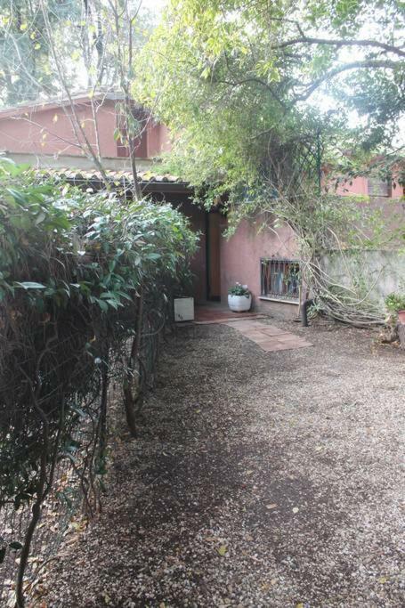 La Casa Di Ornella Apartment Roma Ngoại thất bức ảnh